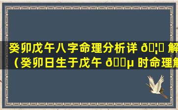 癸卯戊午八字命理分析详 🦄 解（癸卯日生于戊午 🐵 时命理解析）